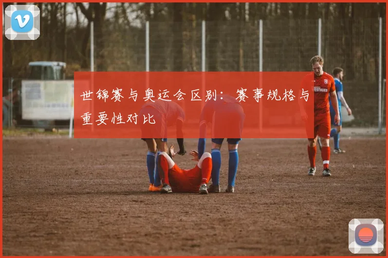 世锦赛与奥运会区别：赛事规格与重要性对比
