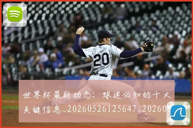 世界杯最新动态:球迷必知的十大关键信息_20260526125647_20260607160356