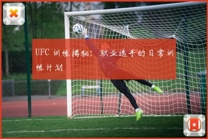 UFC 训练揭秘：职业选手的日常训练计划