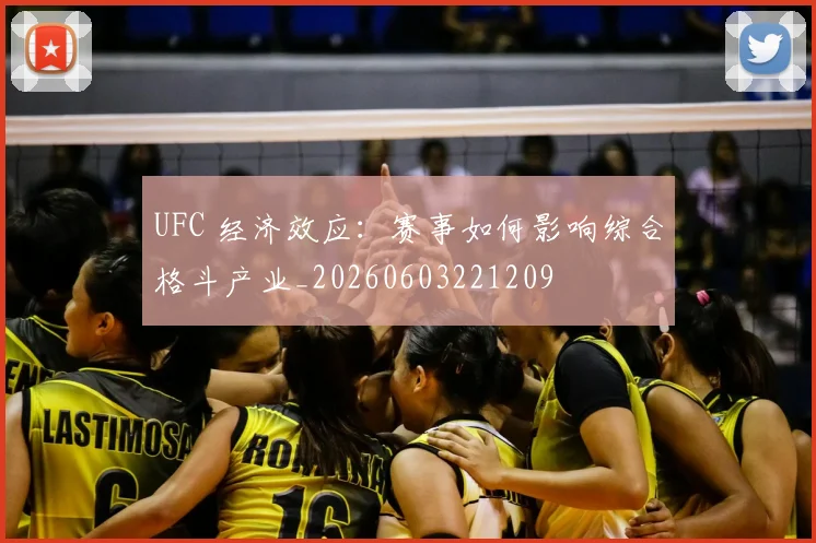UFC 经济效应:赛事如何影响综合格斗产业_20260603221209