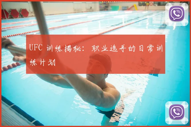 UFC 训练揭秘：职业选手的日常训练计划